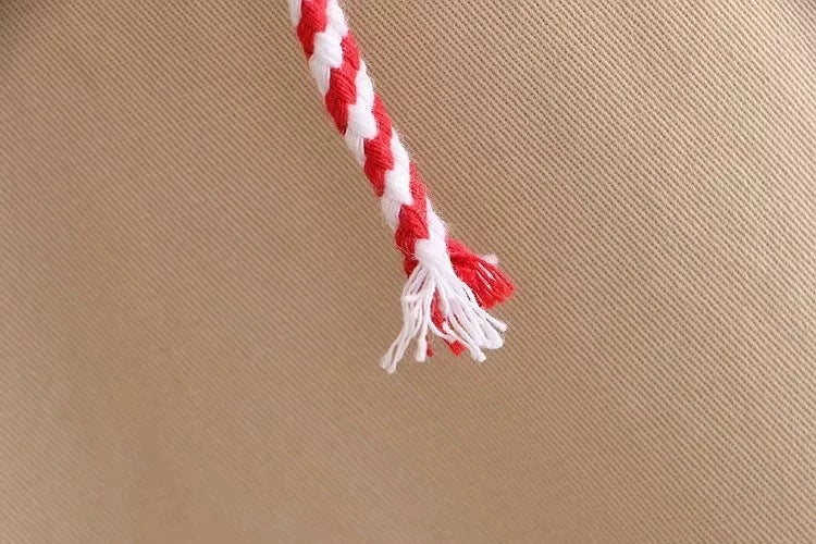 Vivid Dreams Printed Drawstring Hooded Coat for Women