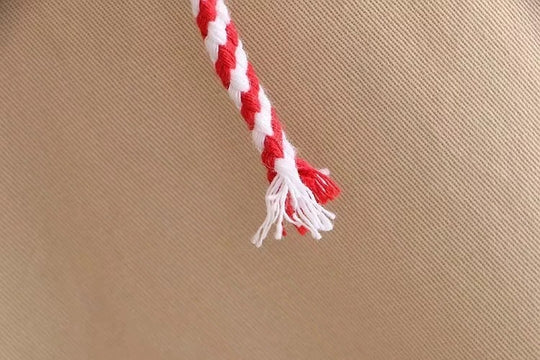 Vivid Dreams Printed Drawstring Hooded Coat for Women